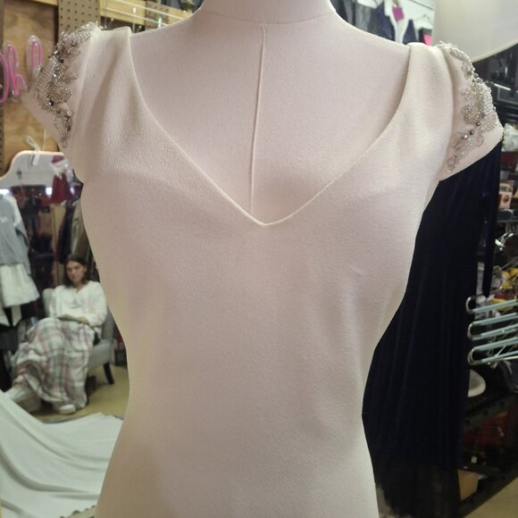 Atelier Pronovias "Irune" Wedding Gown (Unaltered) - Picture 6 of 12